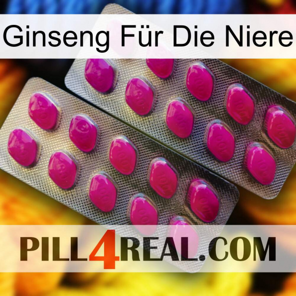 Ginseng Für Die Niere 10
